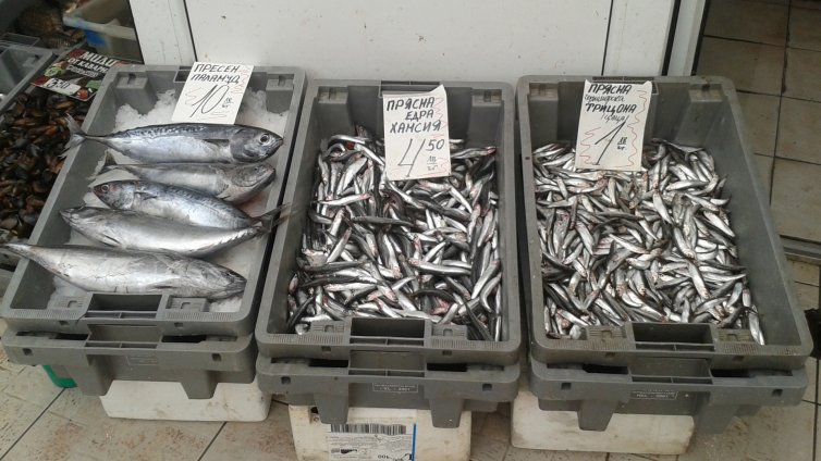 Мидите окупират Рибната борса