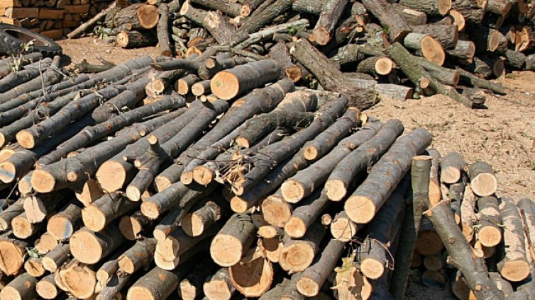 12 кубика дърва за огрев са задържали служители на ДЛС- Тервел