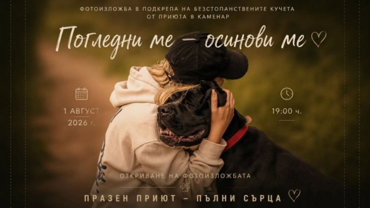 Истории на бездомни кучетата "оживяват" във фотоизложба във Варна