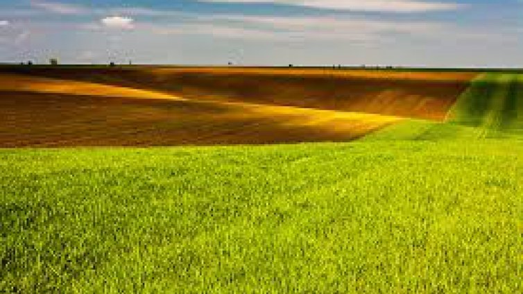 Цените на земеделските земи в Североизточна България са най-високи