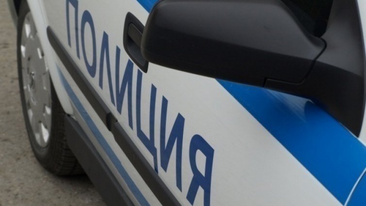 Задържаха мъж, застрелял две кучета в село край Добрич