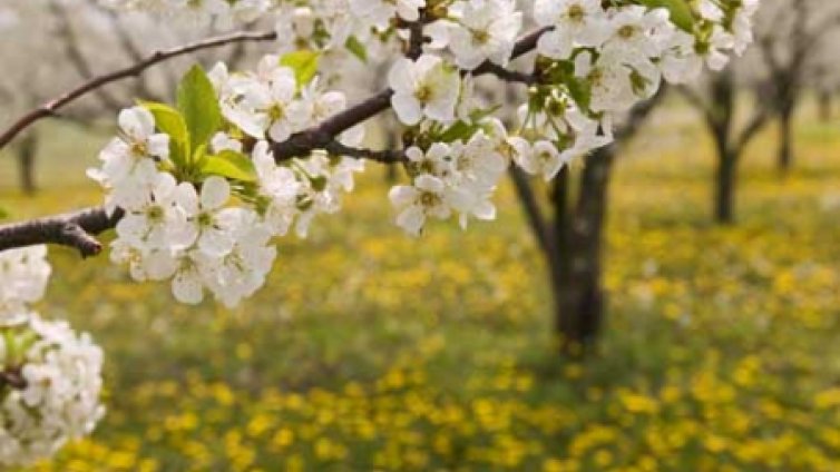 Слънчево, но сравнително хладно време