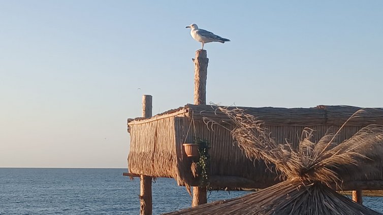 Слънчево време в цялата страна днес