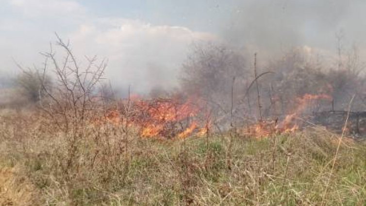 Огромен пожар в Кюстендилско