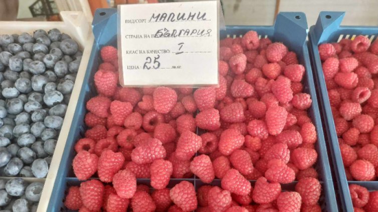 На варненските пазари малините и къпините поставят ценови рекорди