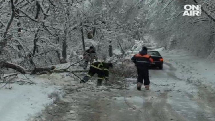 Бедствено положение в Смолян, Сливо поле, Две могили, Свищов