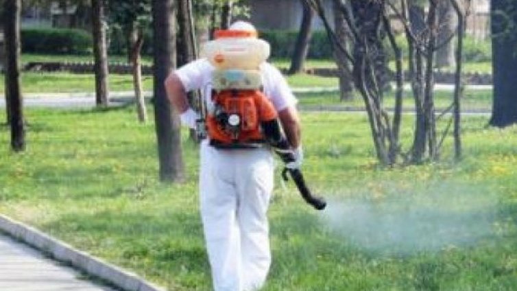 От понеделник започват да пръскат срещу комари във Варна