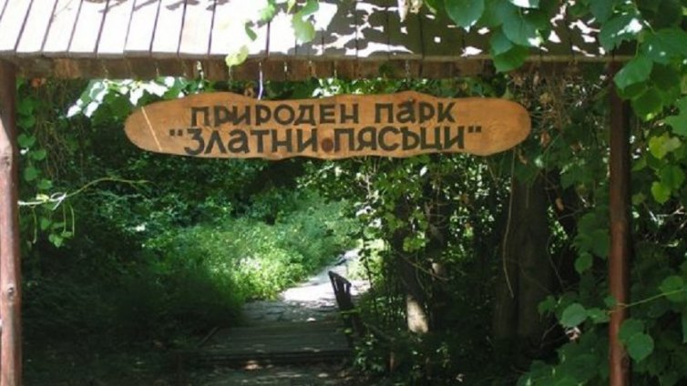 Доброволци ще чистят днес района на природен парк “Златни пясъци”