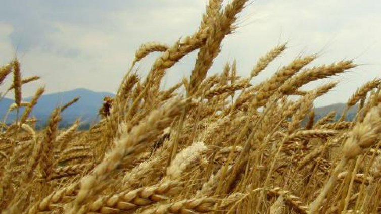 Празнуваме летен Атанасовден