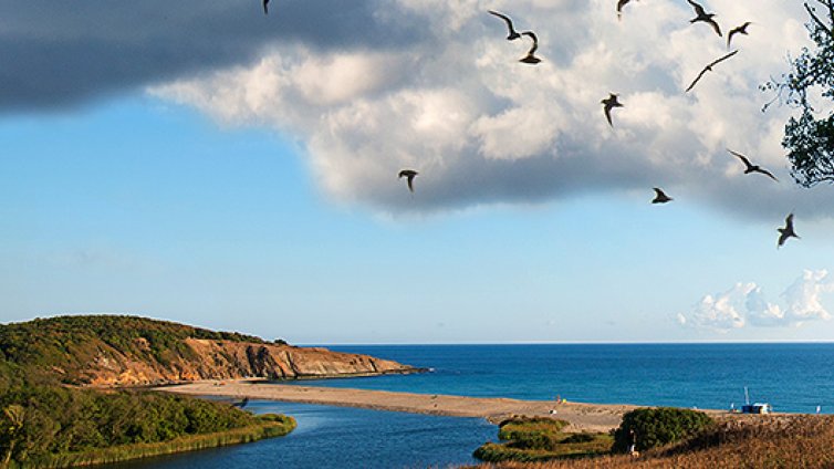Ден на отворените врати в Басейнова дирекция-Варна