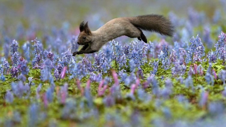 Облачно, но без валежи по Черноморието днес
