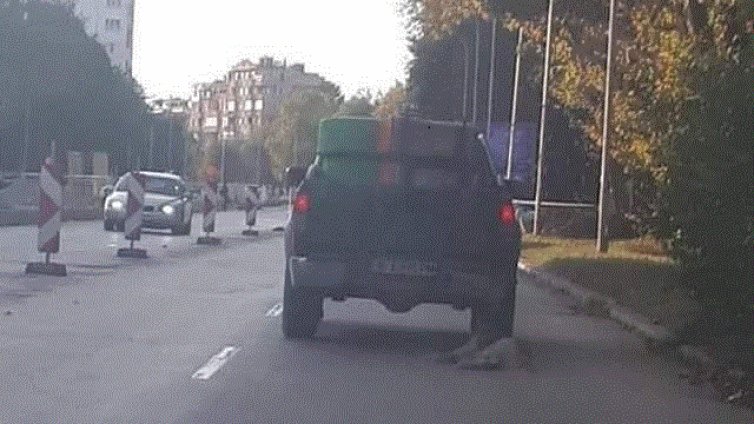 Социалните мрежи полудяха: Шофьор от Варна заснет да влачи куче с кола!