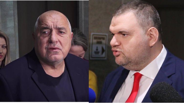 Ружа Райчева: Борисов скръцна със зъби на Пеевски