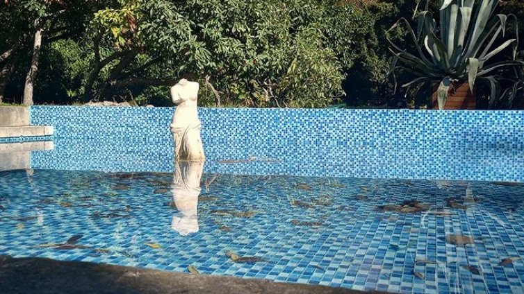 Вандали сеят разруха във Варна