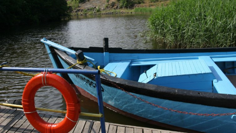 Сливи за смет в морски вариант