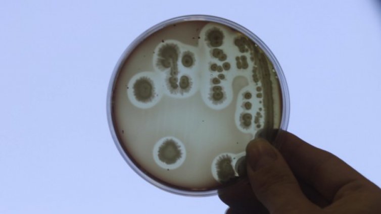 3-годишно почина от грипа "Виктория" в Стара Загора