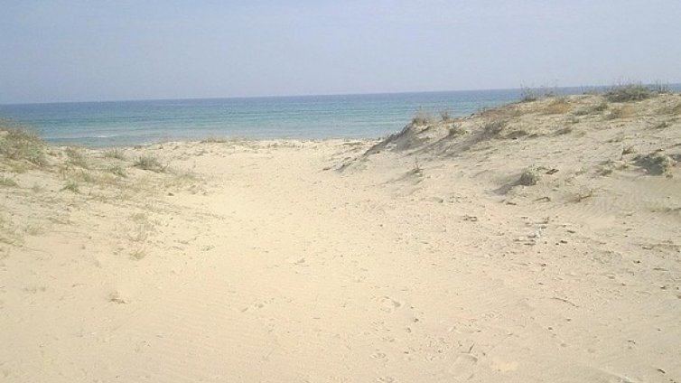 Затягат екоконтрола по морето