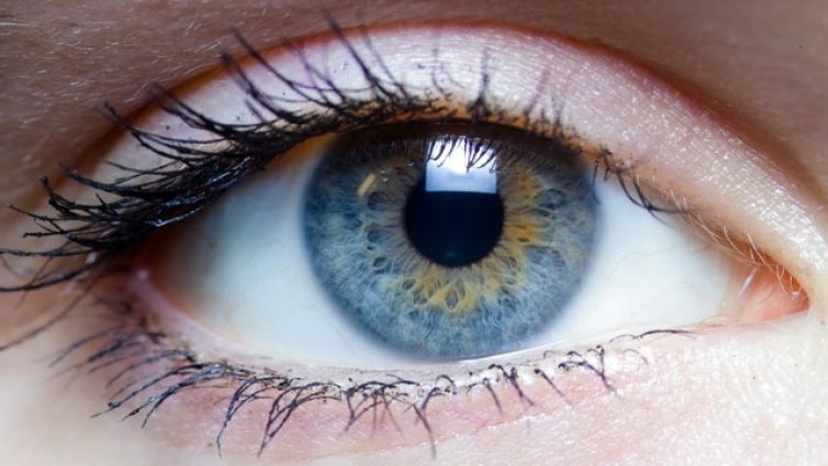 Биг брадър по жп гарите. Слагат камери за 500 хил. лева