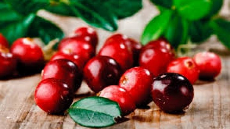 Червени боровинки – естествено средство за силен имунитет