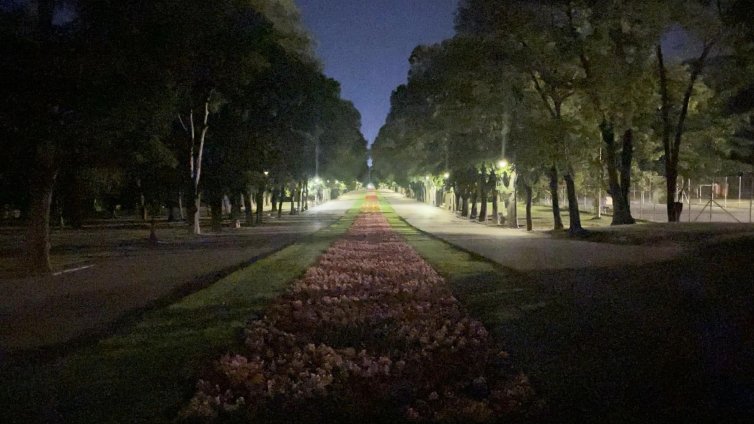 Кметът Коцев се разходи из Морската градина във Варна и какво видя?