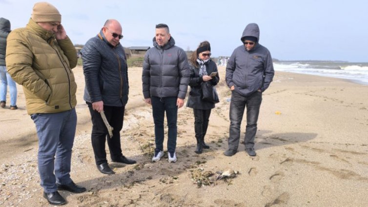 9 делфина и над 300 буревестници са открити мъртви край Шабла