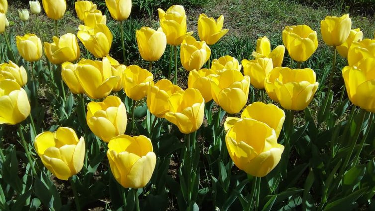 Слънчева и топла неделя във Варна