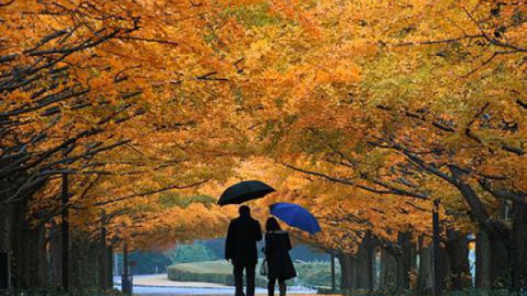 Очаква ни слънчев, но студен понеделник