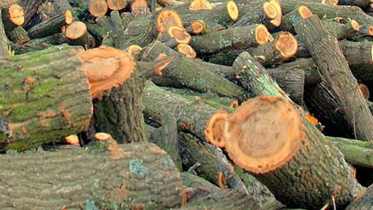 По 3200 бедни искат помощи за топло на ден