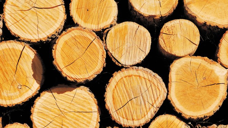 Дървата за огрев поскъпнаха 