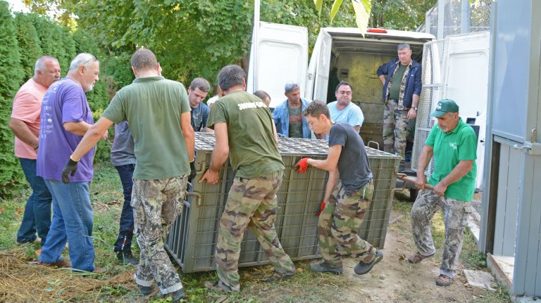Зоопаркът във Варна има нови попълнения (СНИМКИ)