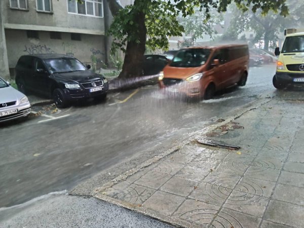 Снимка: БГНЕС